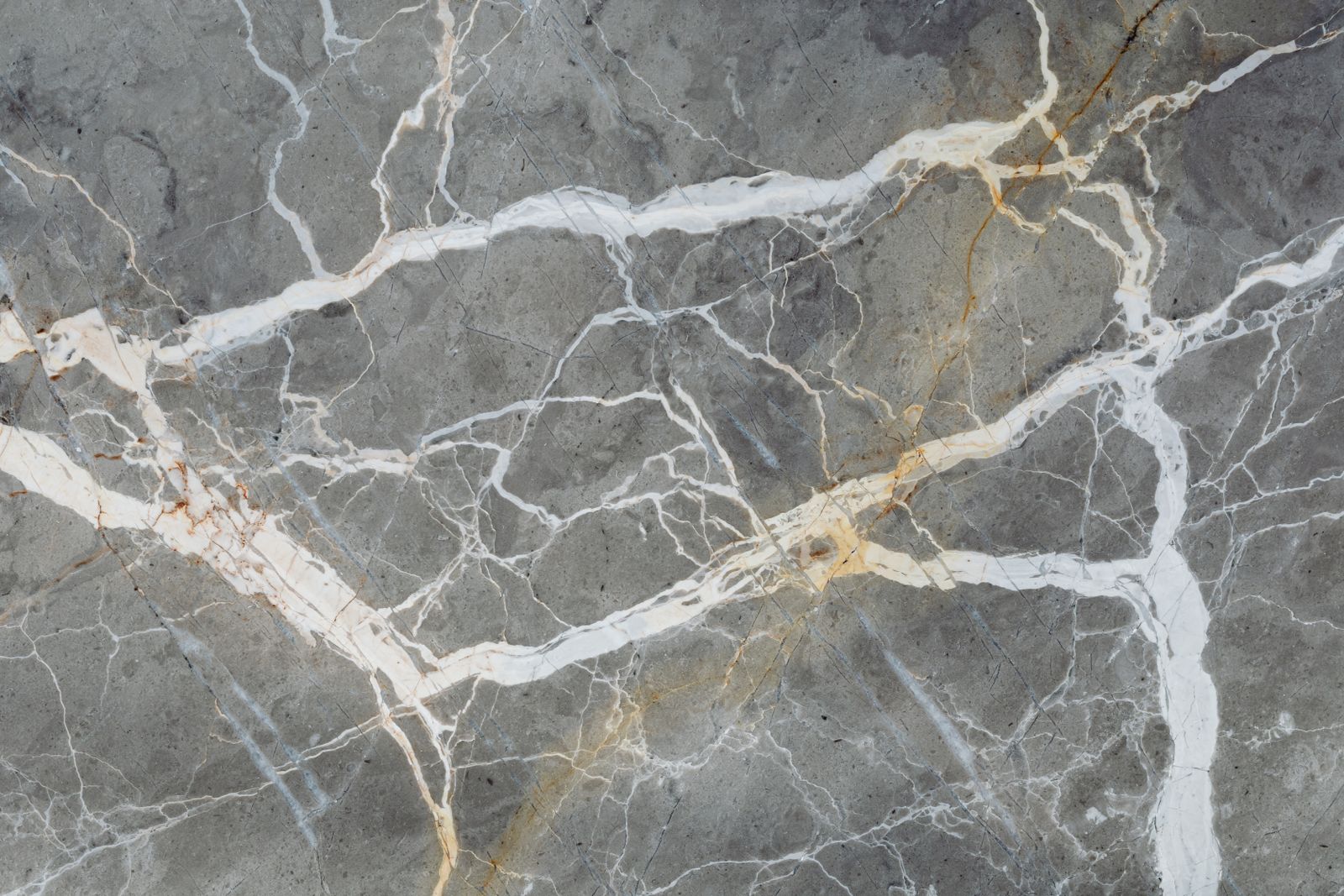 Calacatta Viola sample